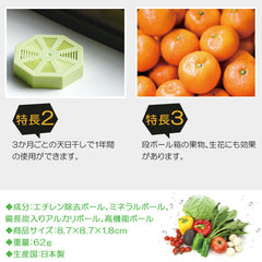 日本Biocera 蔬菜水果鮮度保持盒 (Made in Japan)