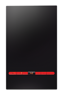 TGC (RJW150SFA) Town Gas Infinity Water Heater
