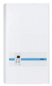 Rinnai (RS15RML) LPG Water Heater